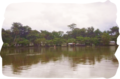 Chocó biogeográfico