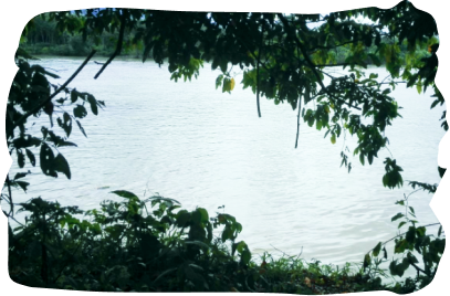 Chocó biogeográfico