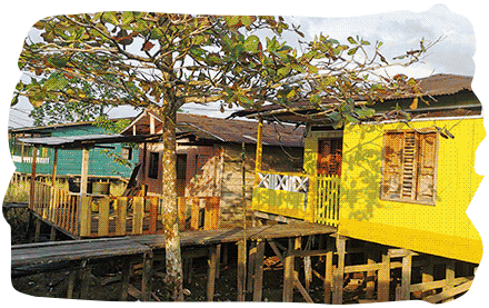 Chocó biogeográfico